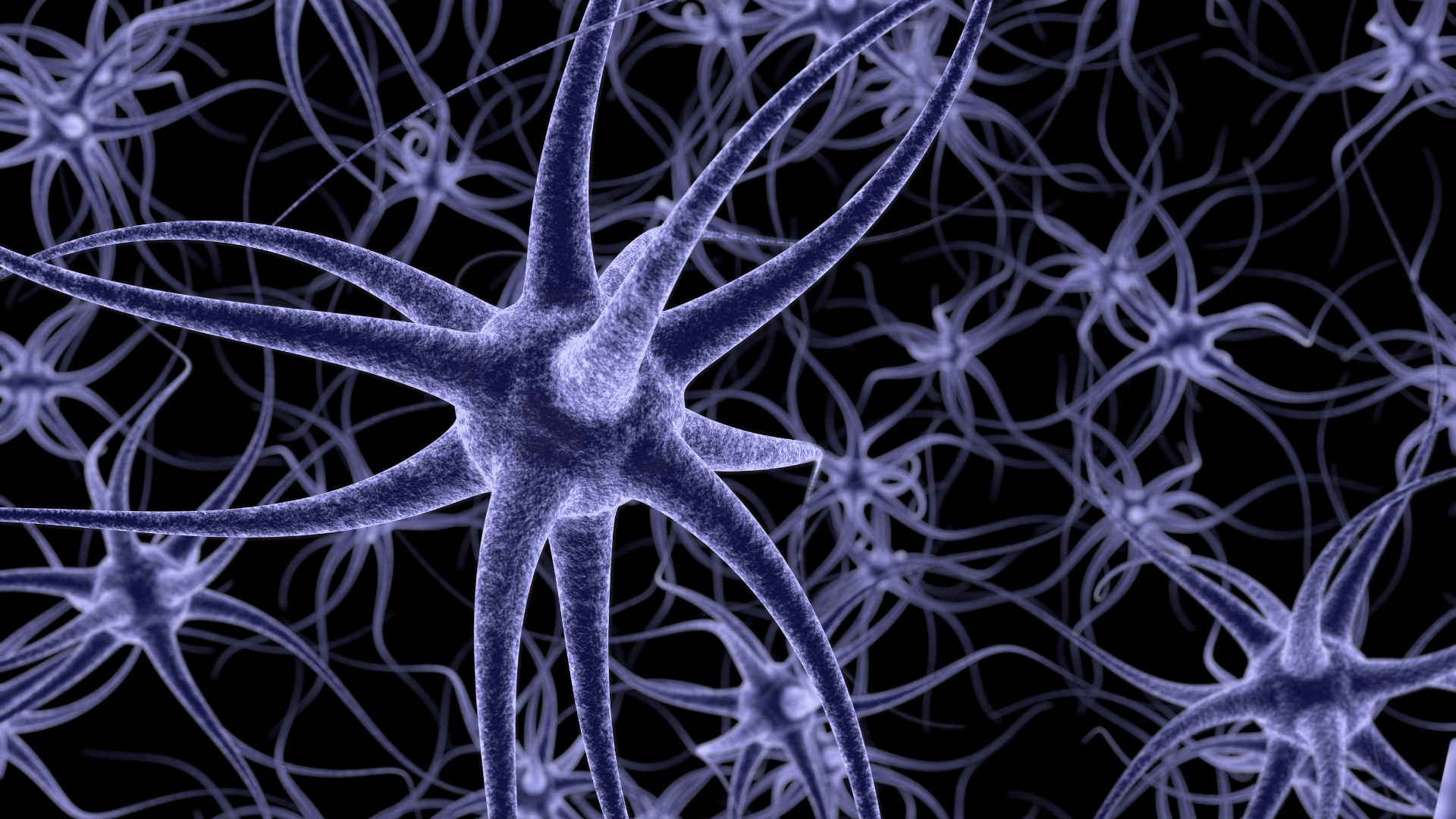 A resposta do cérebro aos Inalantes – NeuroTeen